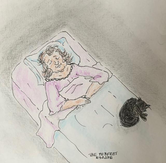 Gerty the perfect escape